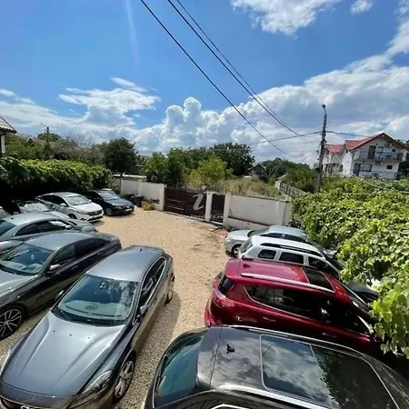 Casa Andra Vama Veche