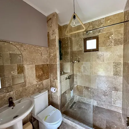 Casa Andra Vama Veche
