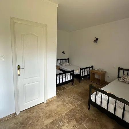 Casa Andra Vama Veche